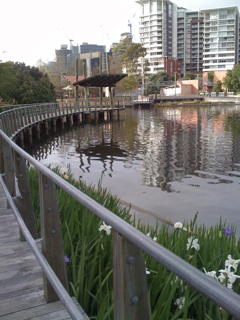 Lake in the Roma Parklands on the way to work