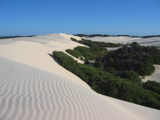 Die weiten Sandwüsten von Moreton Island